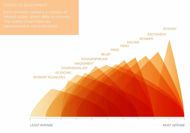 states_of_enjoyment.jpg
