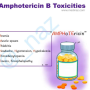 amphotericin_b_mnemx.png