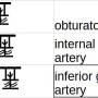 int-iliac-ant-3.jpg