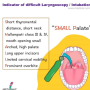 intubation_indication_mnemx.png