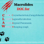 macrolides_mnemx.png