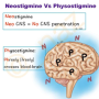 neostigm_vs_physostigm_mnemx.png