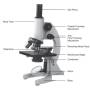 compound-microscope.jpg