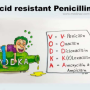 acid-resistant-pencillin-mnemx.png
