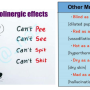 anticholingergic_effect_mnemx.png