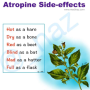 atropine_effect_mnemx.png