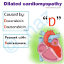 dilated_cardiomyopathy_mnemx.png
