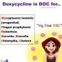doxycycline_mnemx.png