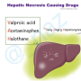 hepatic_necrosis_drugs_mnemx.png