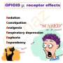 opioid_receptor_mnemx.png