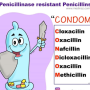 pencillinase-resistant_mnemx.png