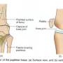 floor-of-popliteal-fossa.jpg