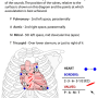 heart-auscultation.png