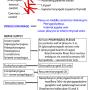 pharynx_vessels_nerves.png